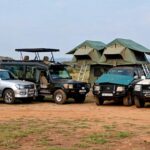 A combination of 4x4 safari fleets
